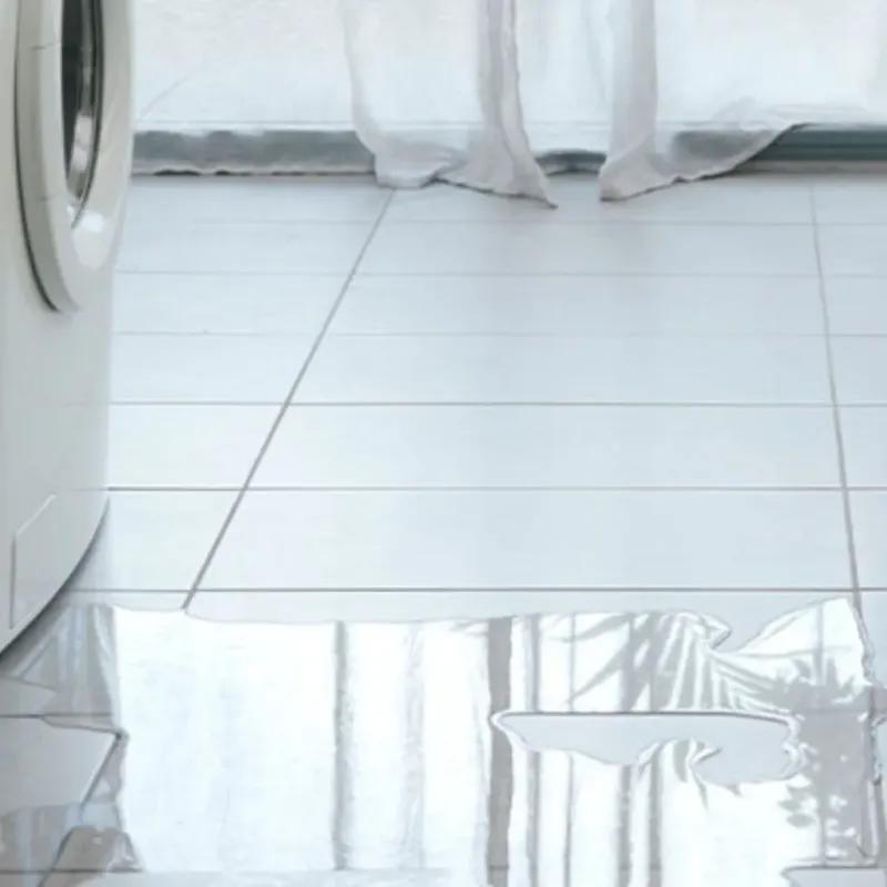 Appliance Leak Cleanup in Burton, OH
