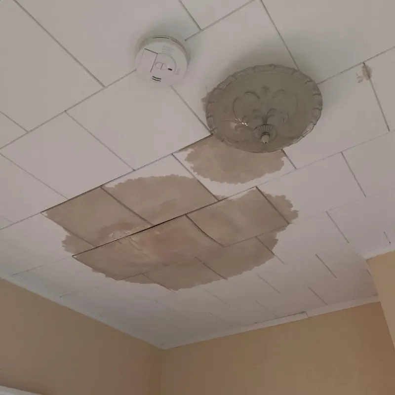 Ceiling Water Damage Repair in Burton, OH