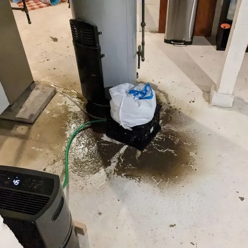 Sewage Backup Cleanup Service in Burton, OH